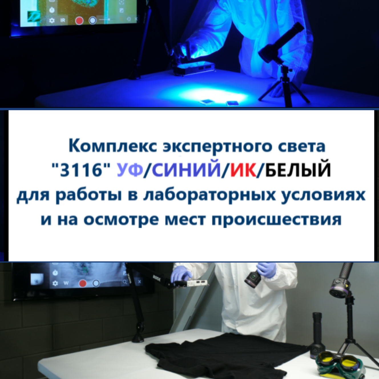 Экспертный свет 3116