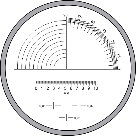 Шкала для оценки величины объектов